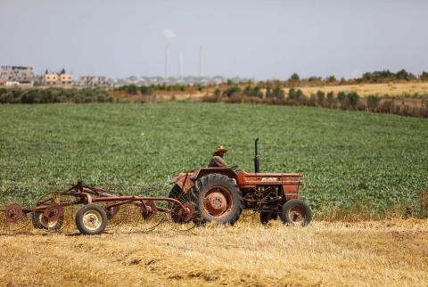 الاتحاد الأوروبي يدعم مزارعي غزة بـ 900 ألف يورو